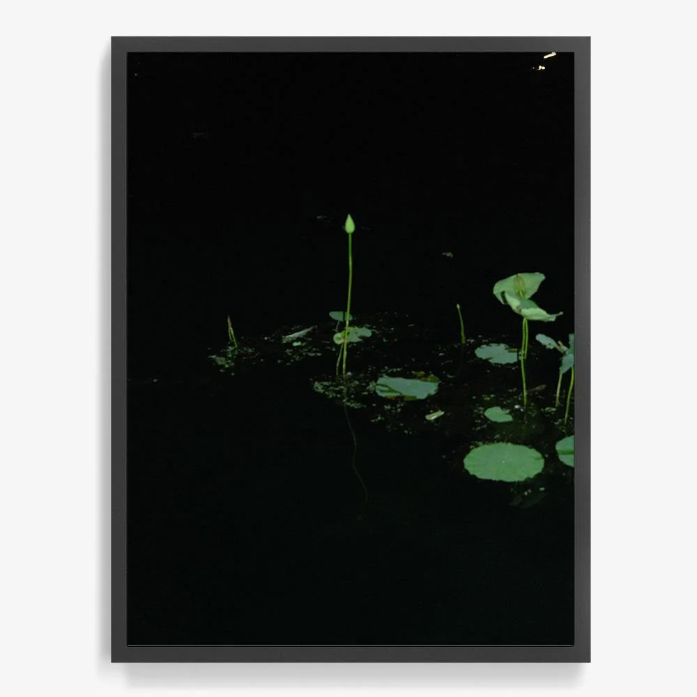 Love Echo - Image 20