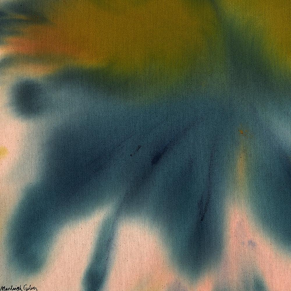 Lovebird - Image 3