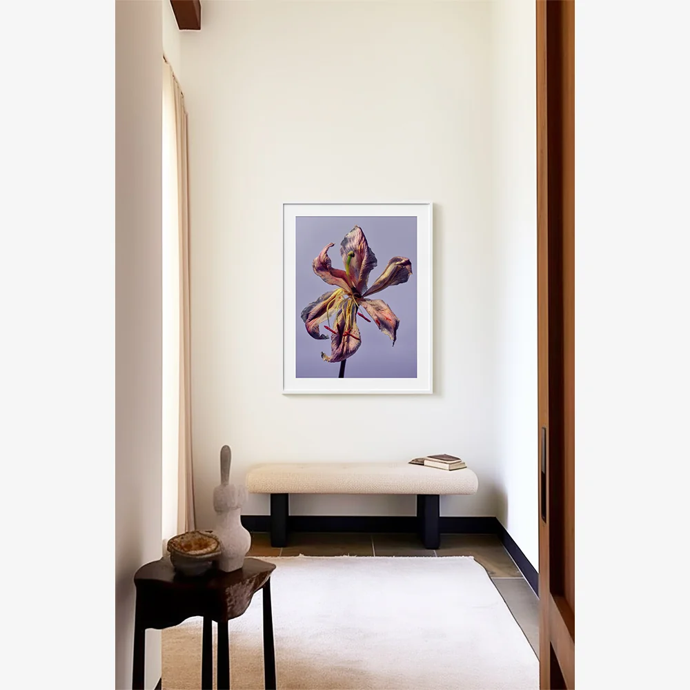 Lys - Image 2