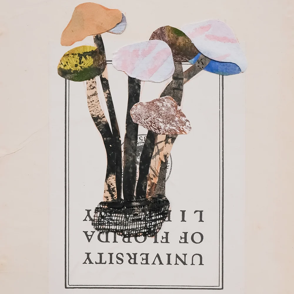 Mashroom A - Image 3