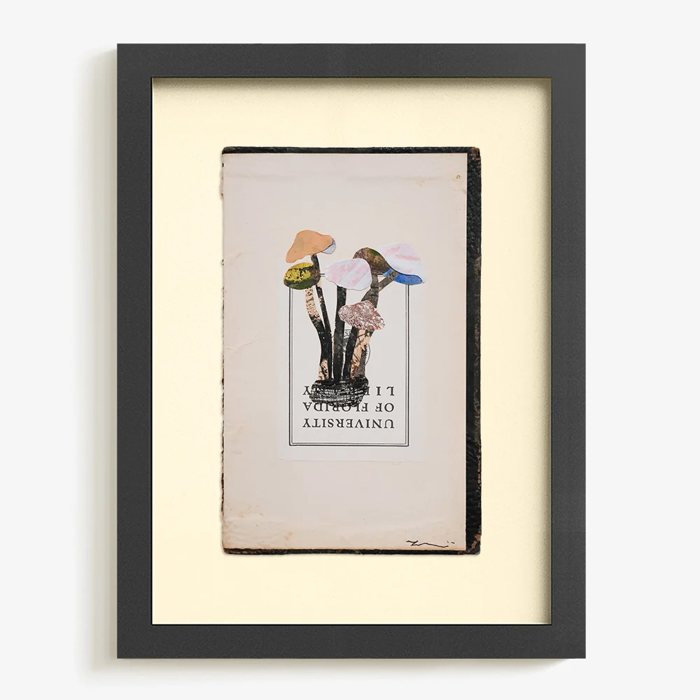 Mashroom A - Image 5
