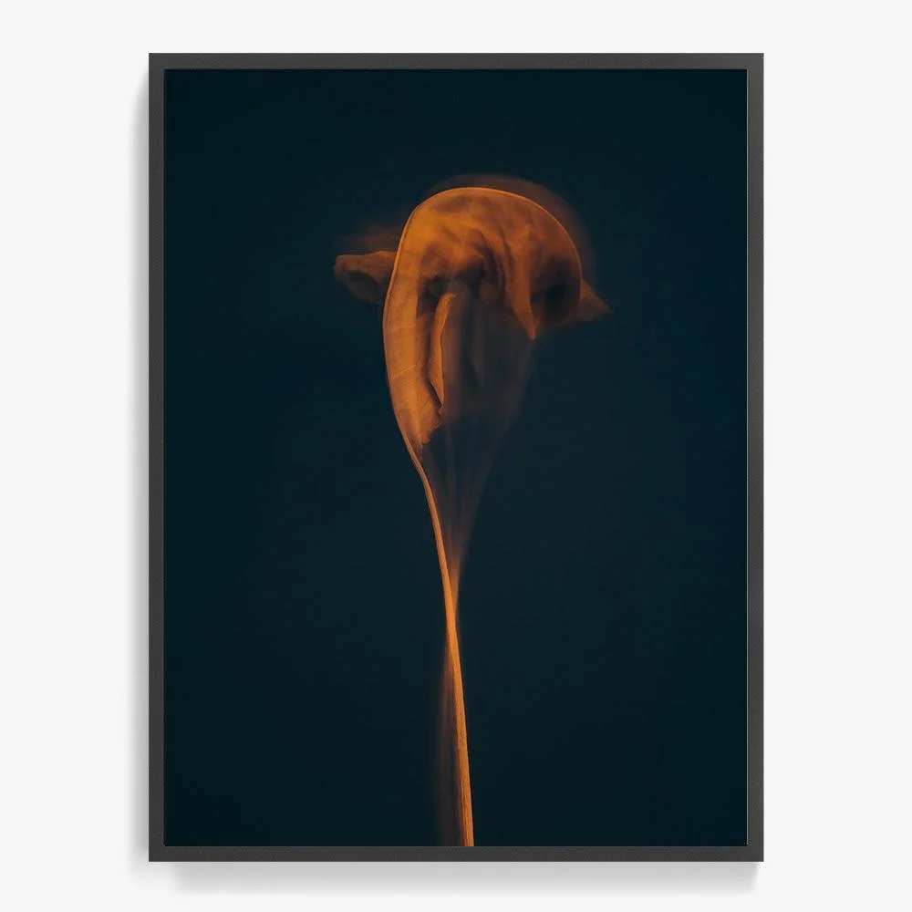Metamorphosis 01 - Image 14