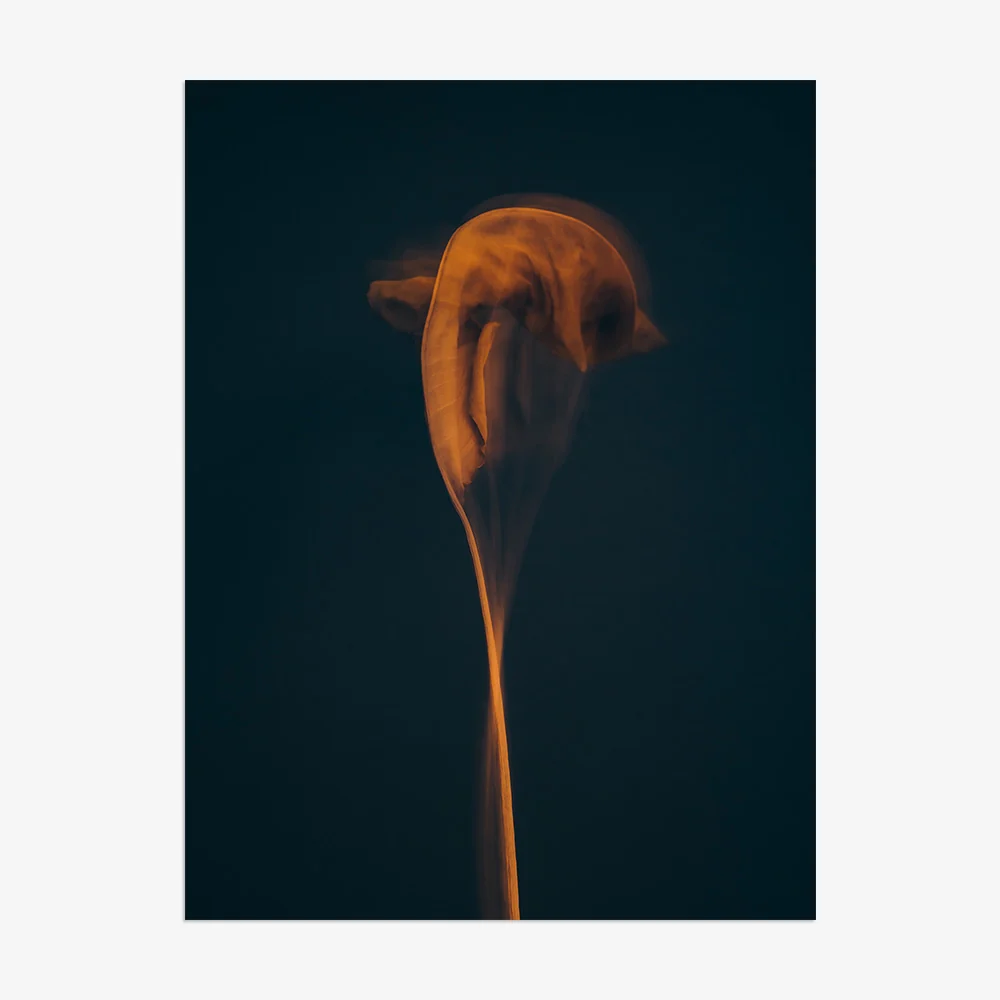 Metamorphosis 01 - Image 21