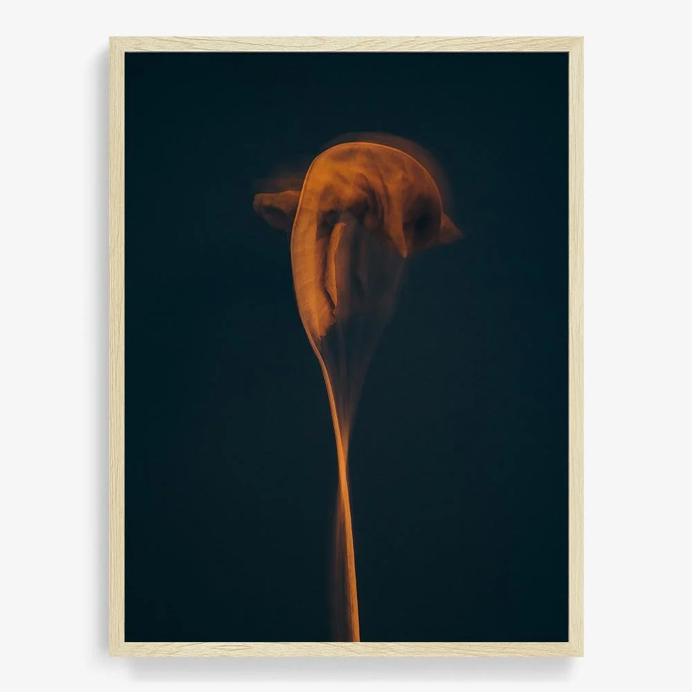 Metamorphosis 01 - Image 30