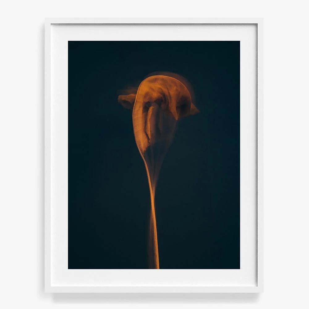 Metamorphosis 01 - Image 7