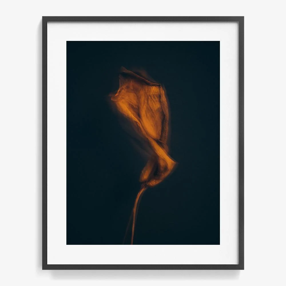 Metamorphosis 03 - Image 12