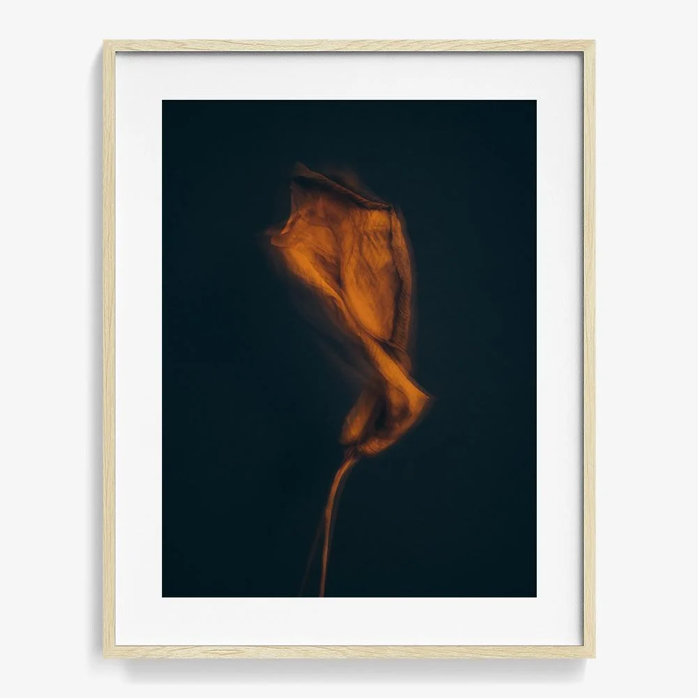 Metamorphosis 03 - Image 19