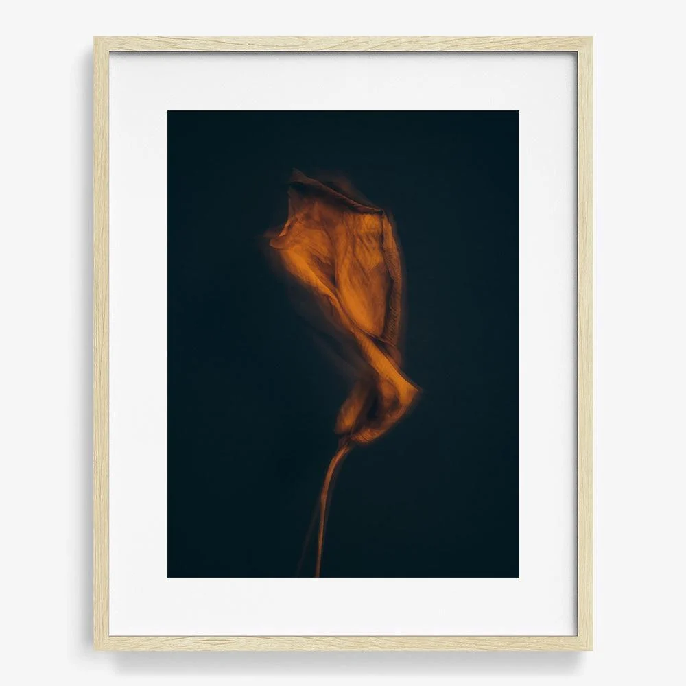 Metamorphosis 03 - Image 29