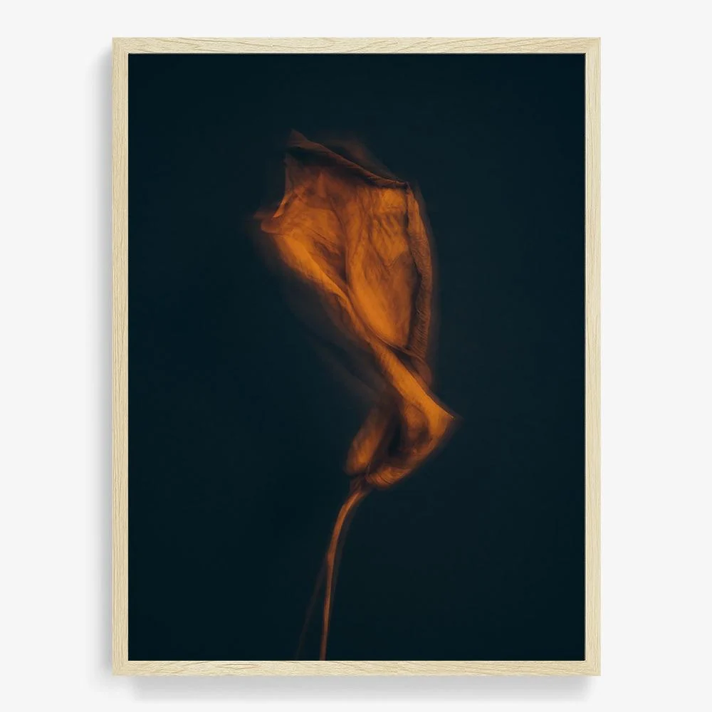 Metamorphosis 03 - Image 30