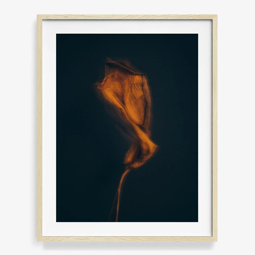 Metamorphosis 03 - Image 9