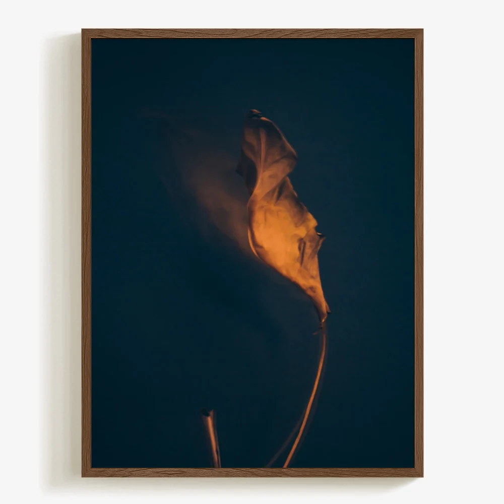 Metamorphosis 06 - Image 6