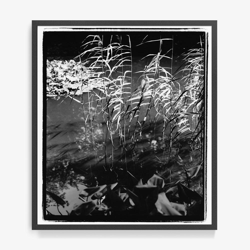 Mirror in Her - Image 14