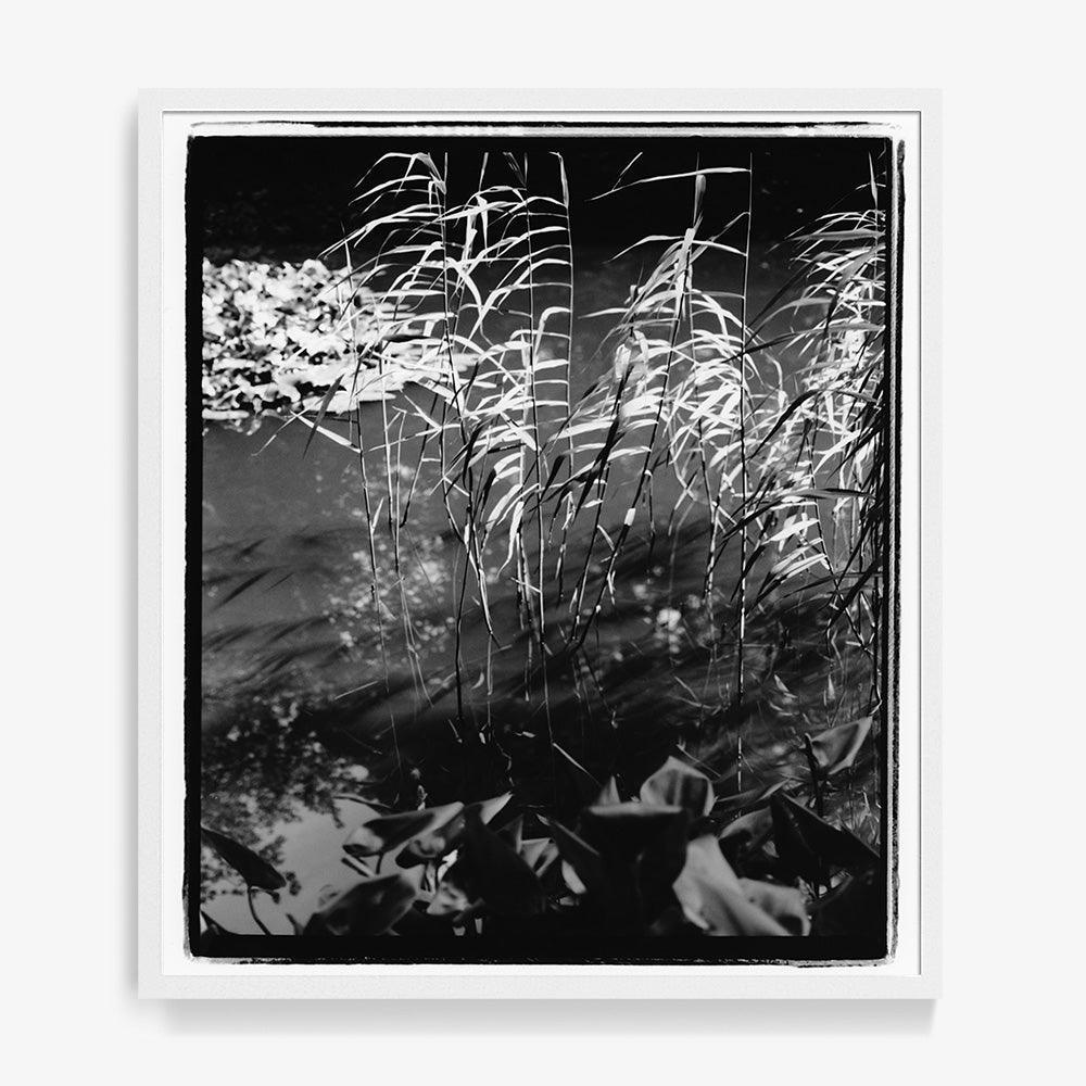 Mirror in Her - Image 16