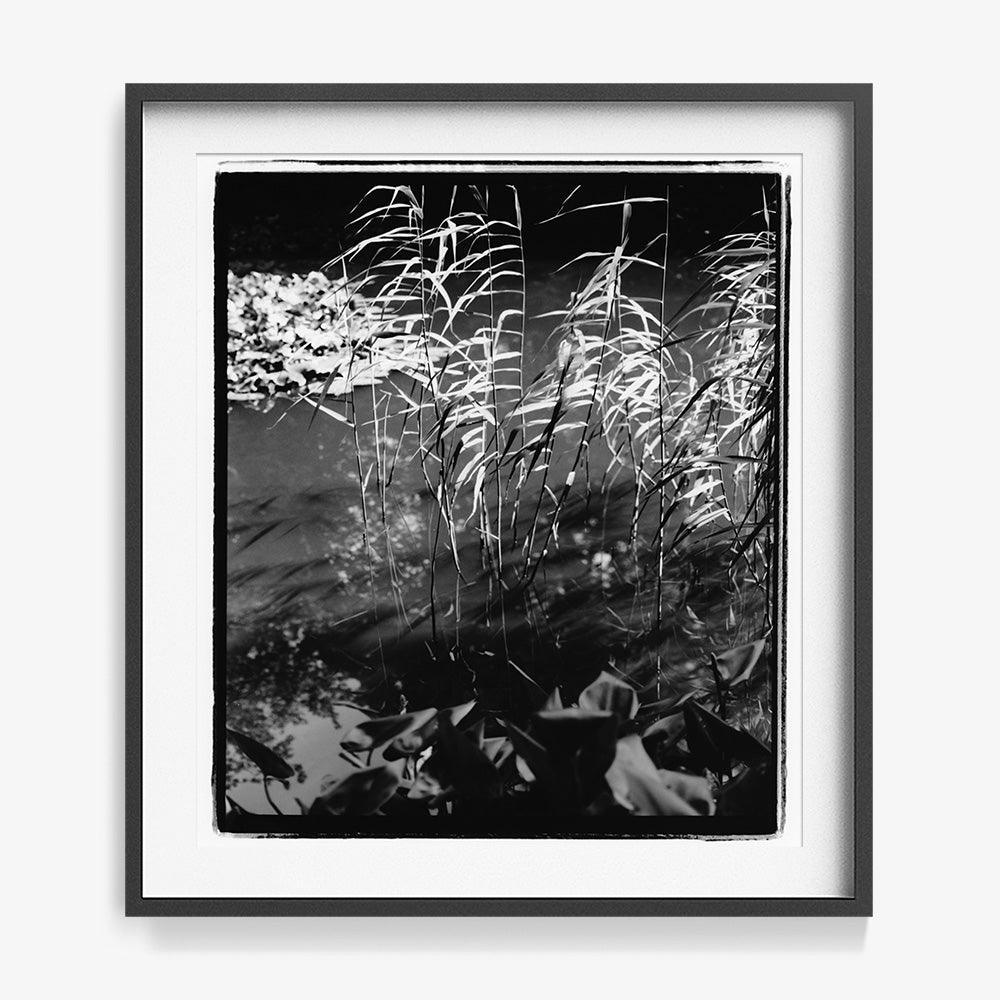 Mirror in Her - Image 19