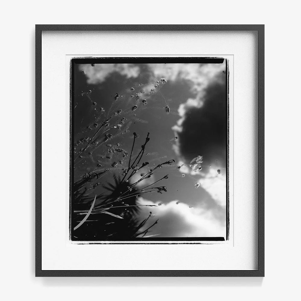Mirror in Me - Image 16