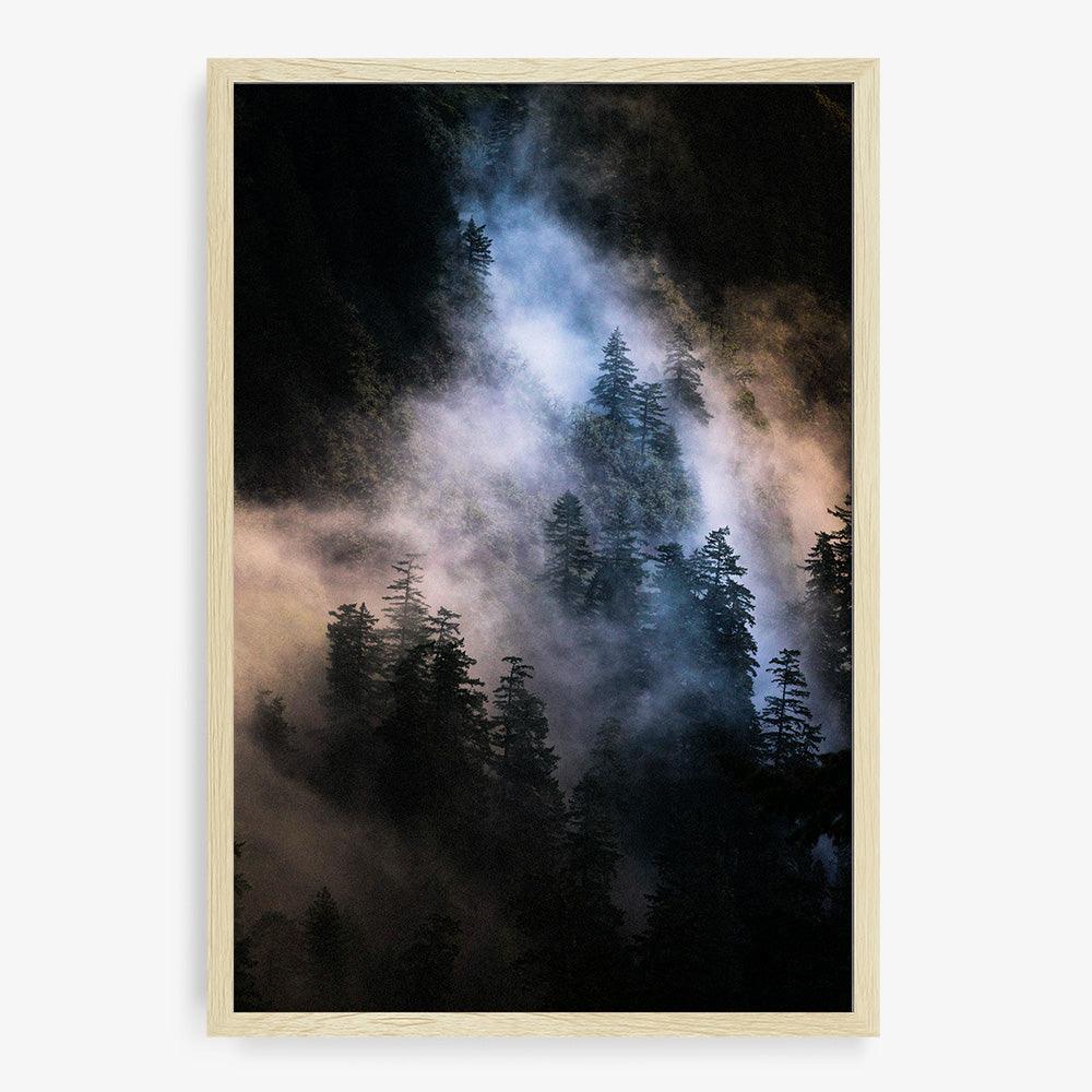 Mist Twelve - Image 17