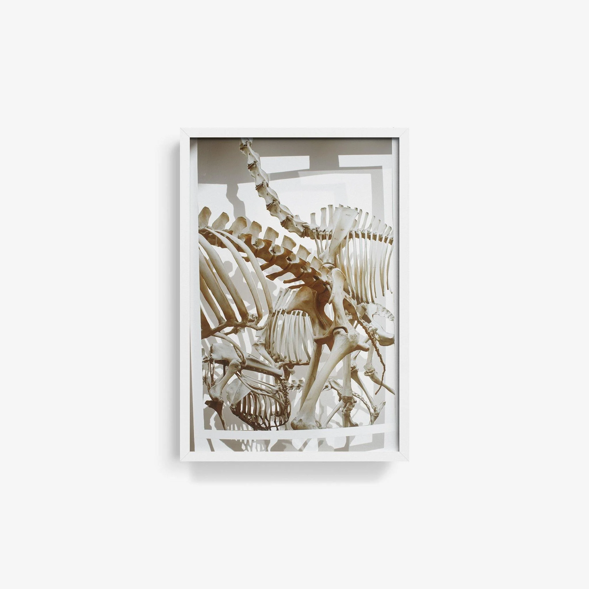 MN_converted_05 - Image 18