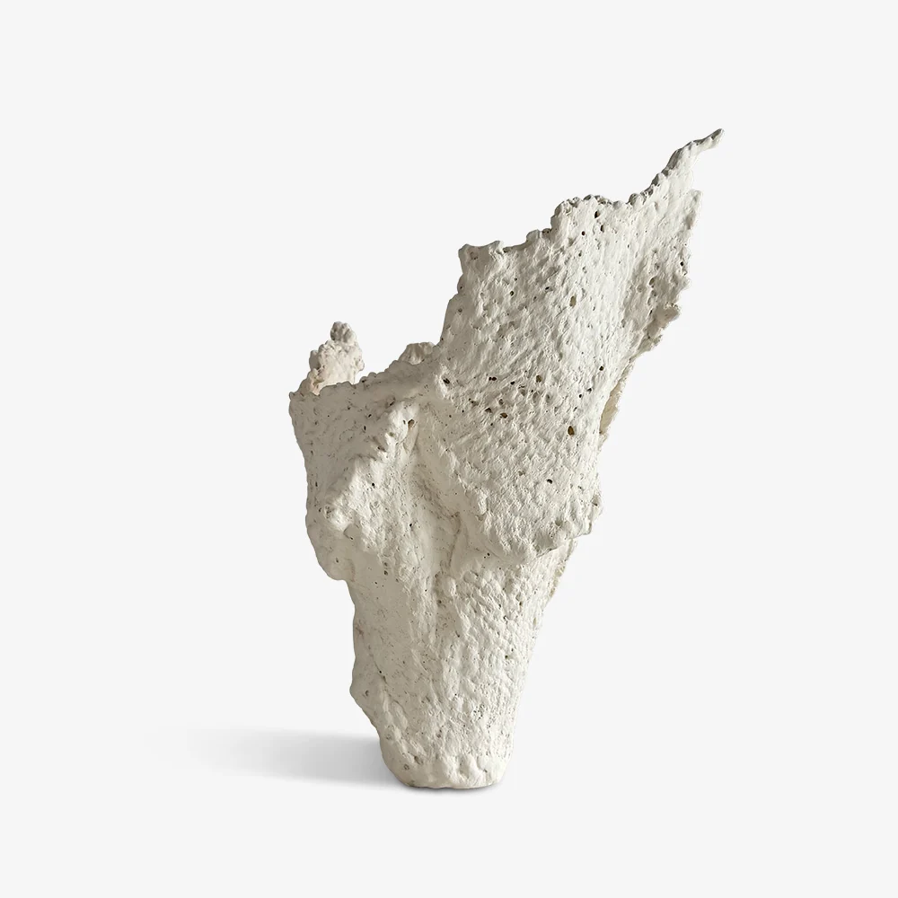Modern Relics #23-Wren - Image 6