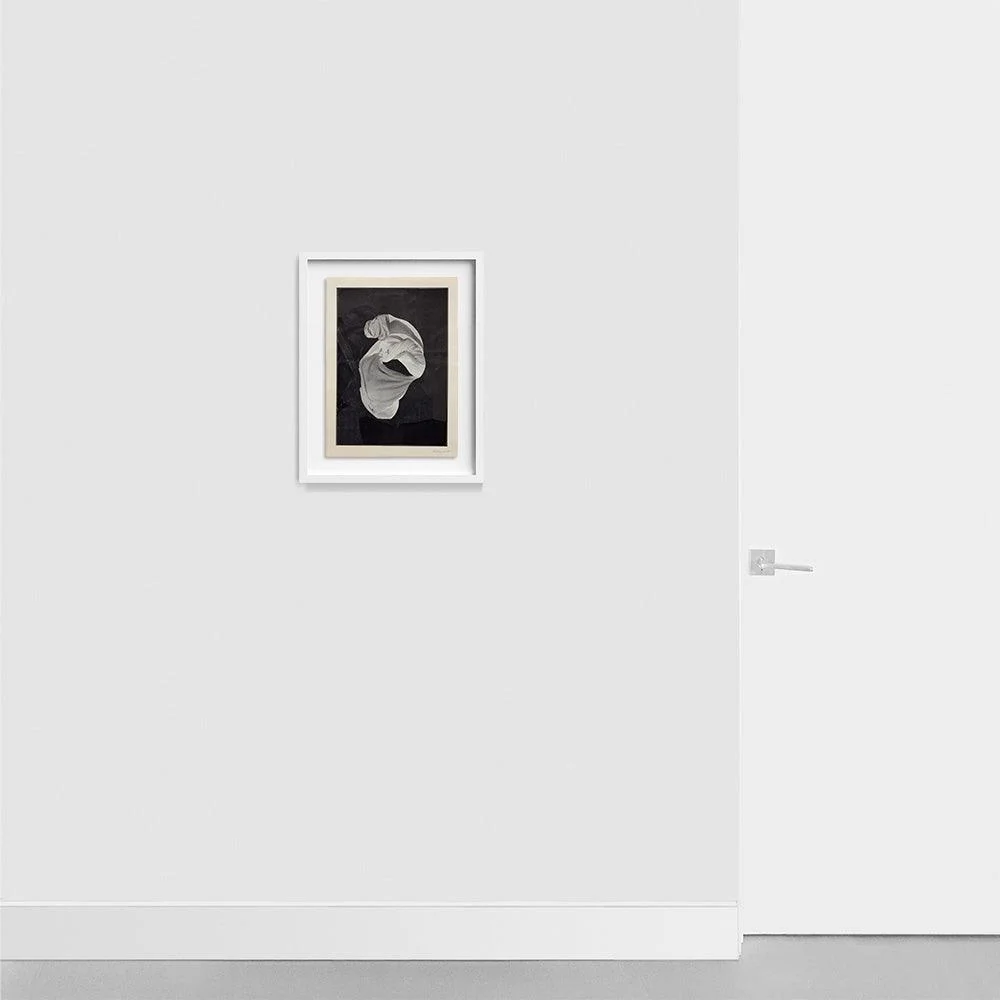 Movement Study in Greyscale #20 - Image 2