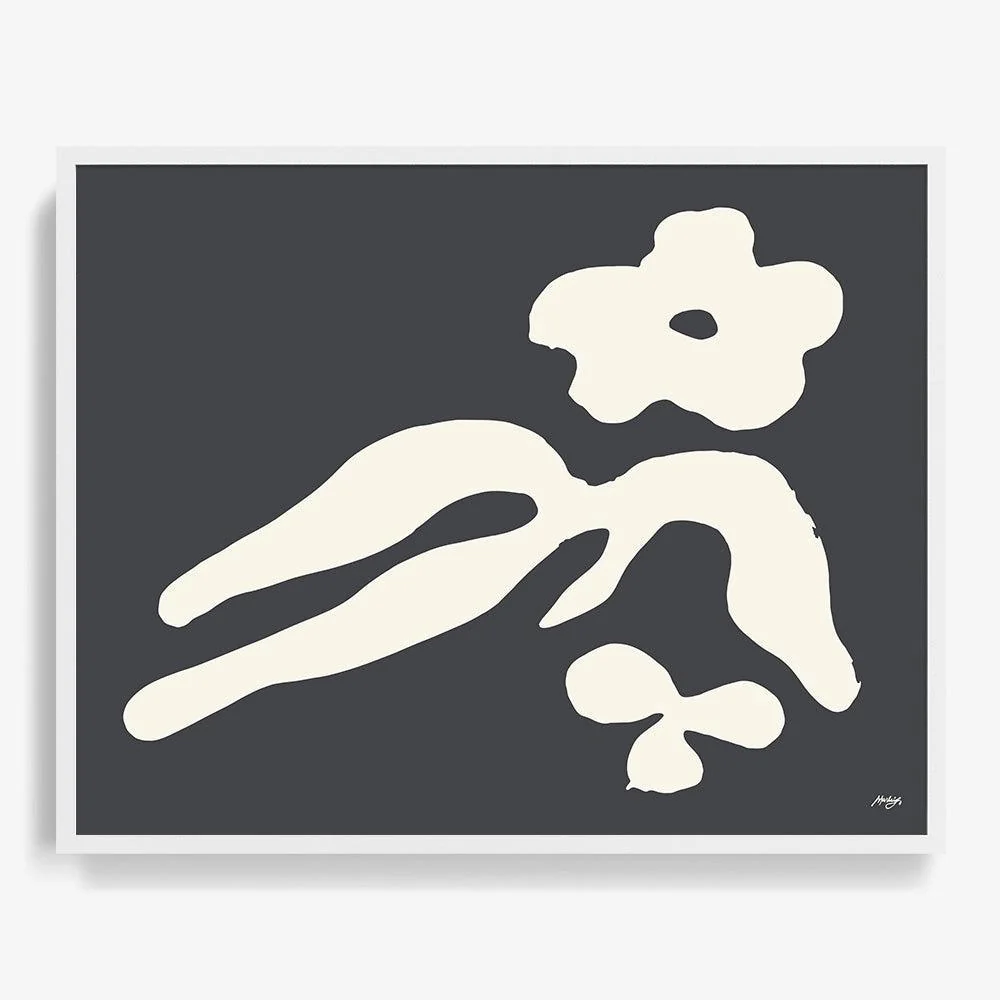 MYOSOTIS - Image 16