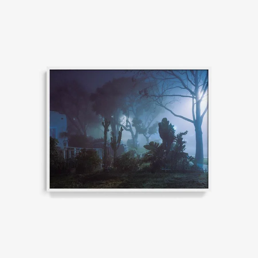 Night Melody - Image 19