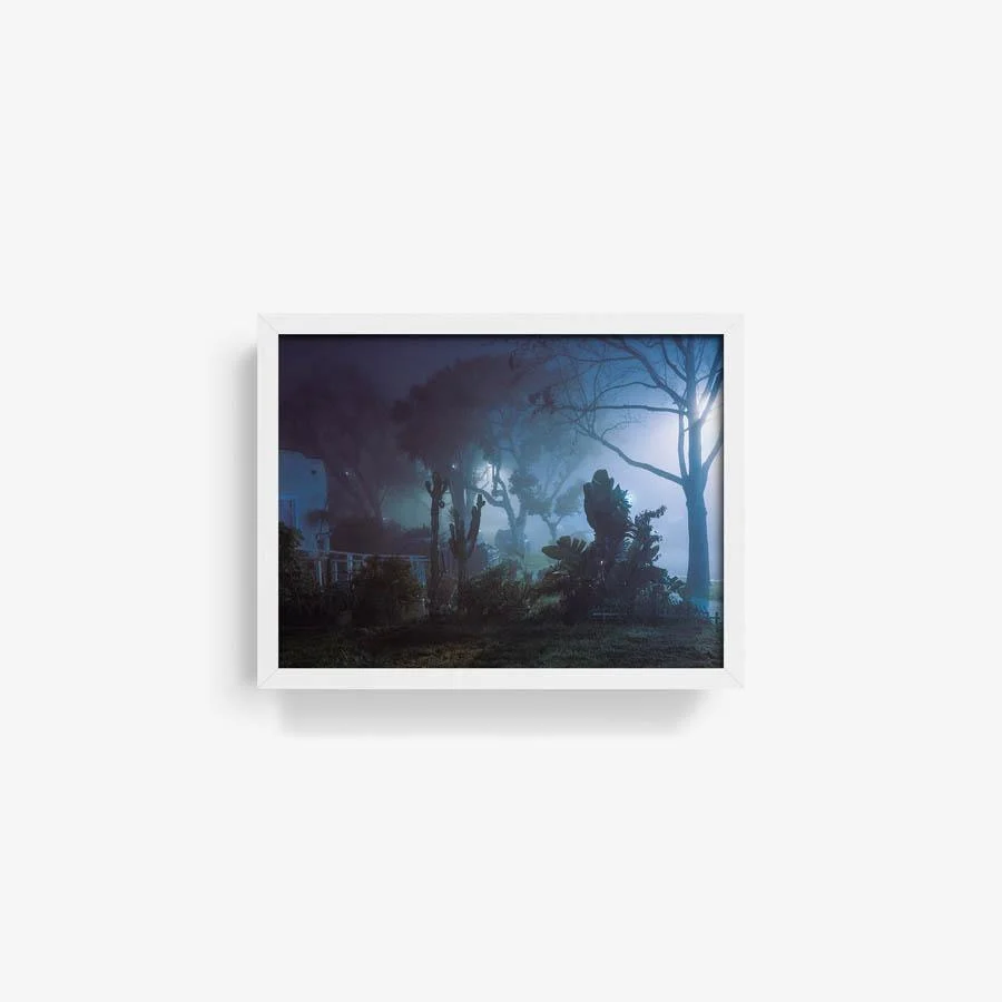 Night Melody - Image 8
