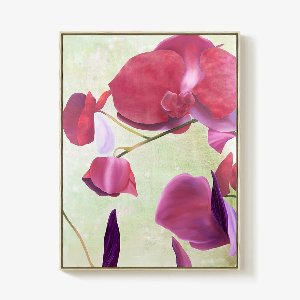 Oﬀering Orchids Flowers