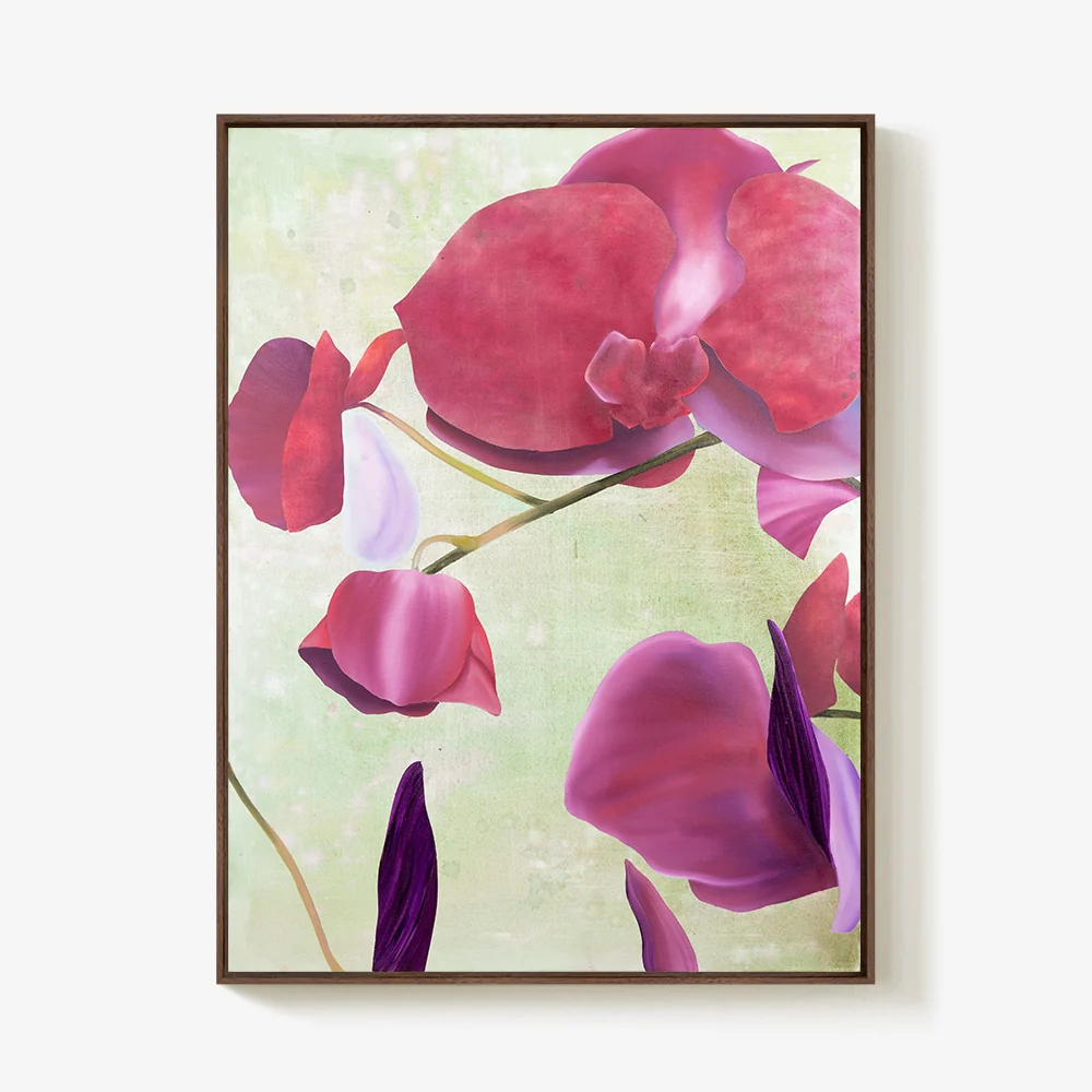Oﬀering Orchids Flowers - Image 5
