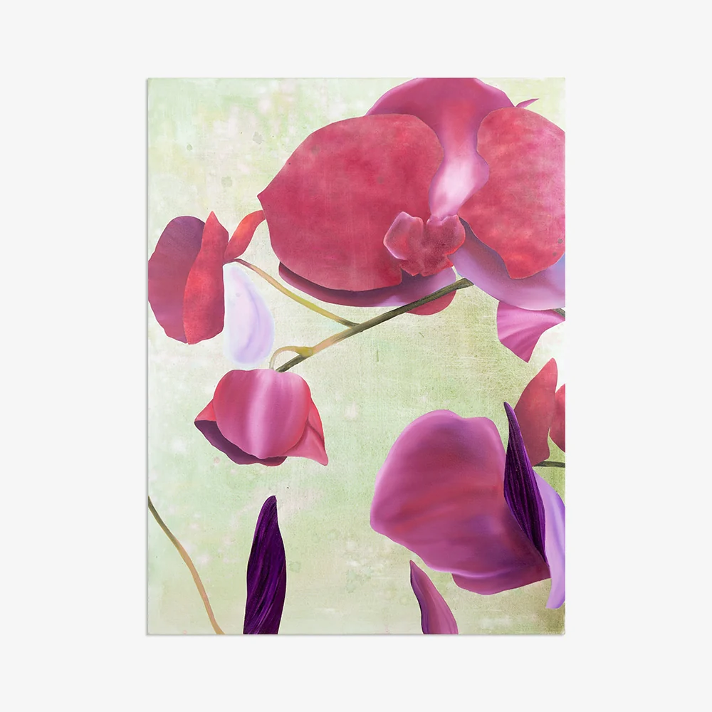 Oﬀering Orchids Flowers - Image 6