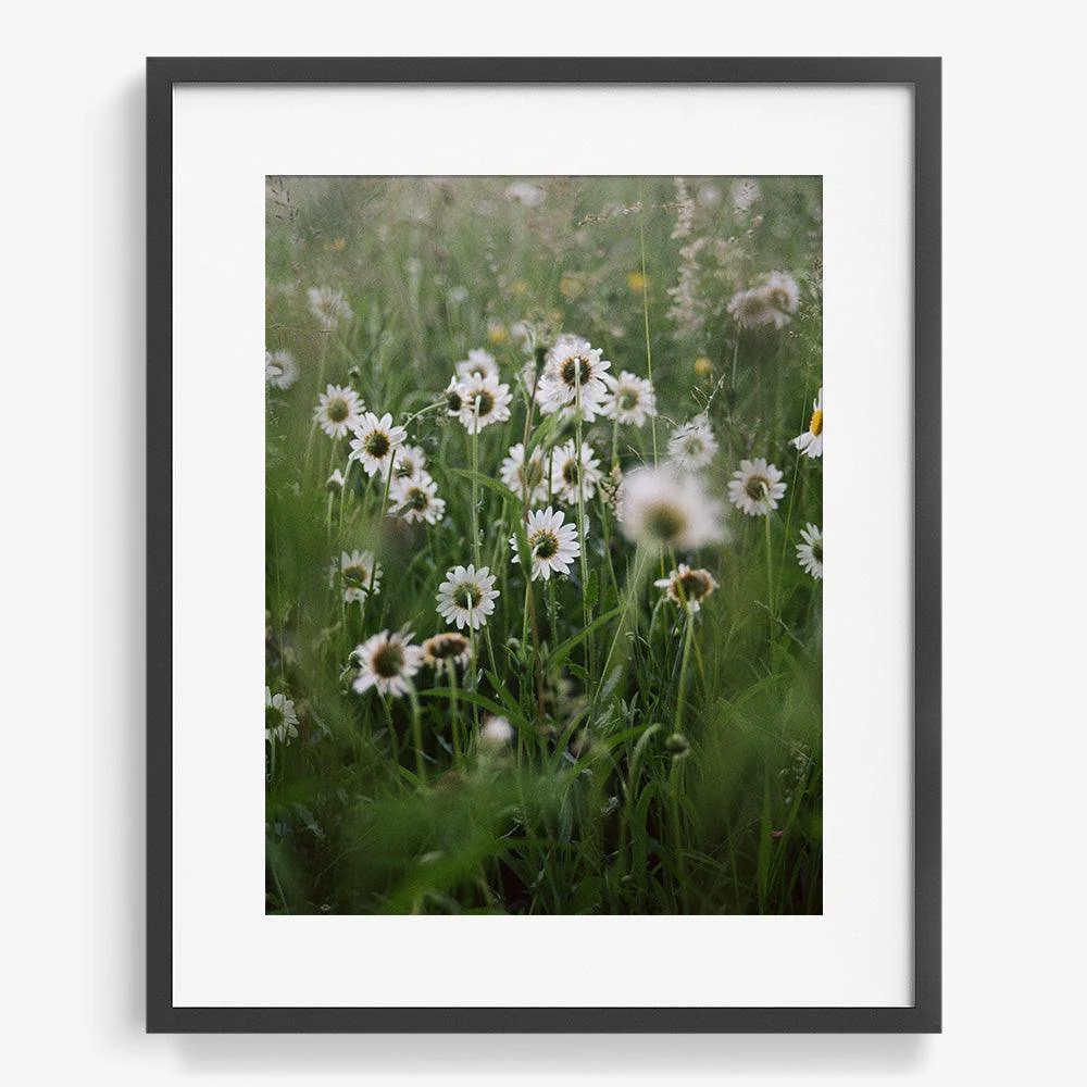 Oneness - Image 11