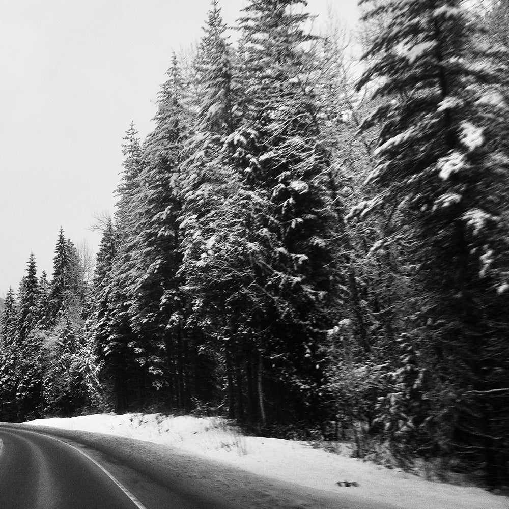 Open Road - Image 11