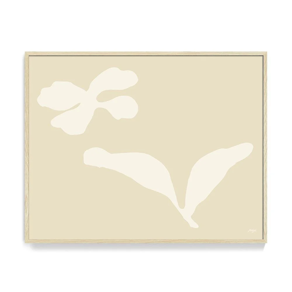 ORCHIDÉE - Image 20