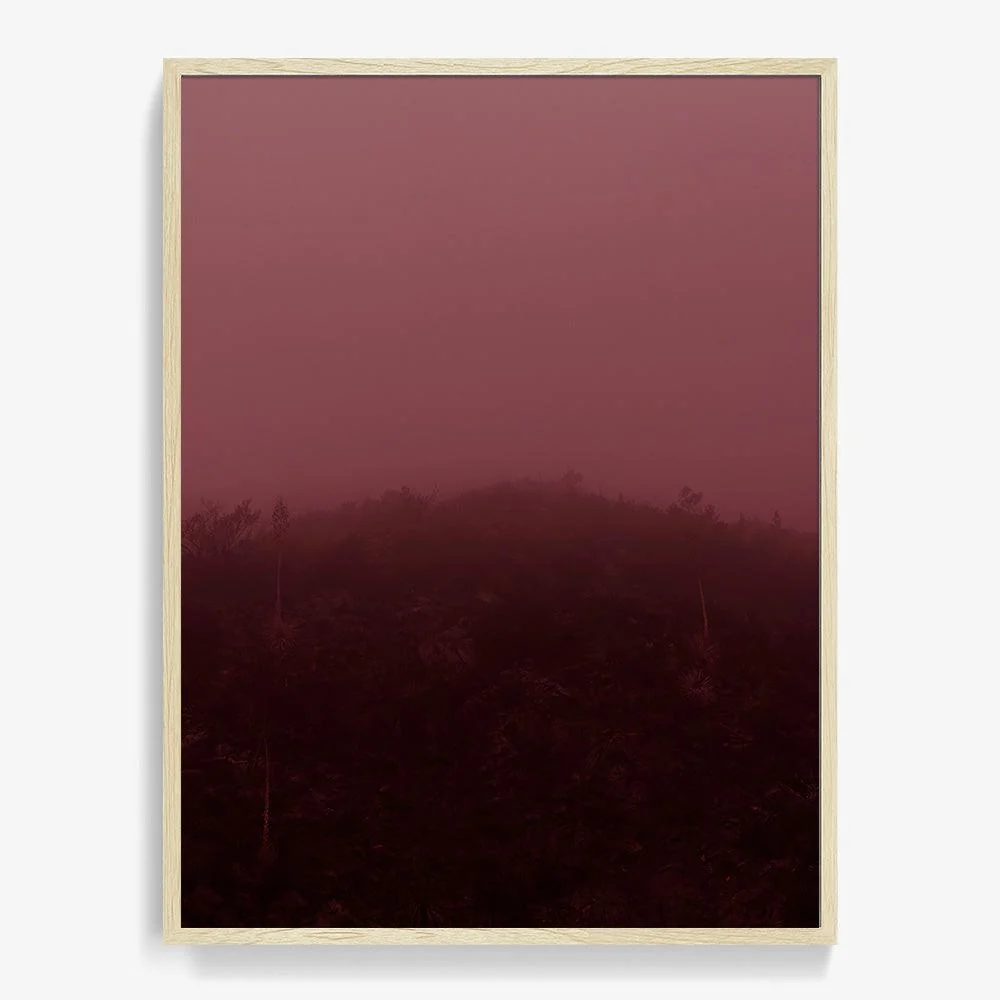Out of the Mist - Image 19