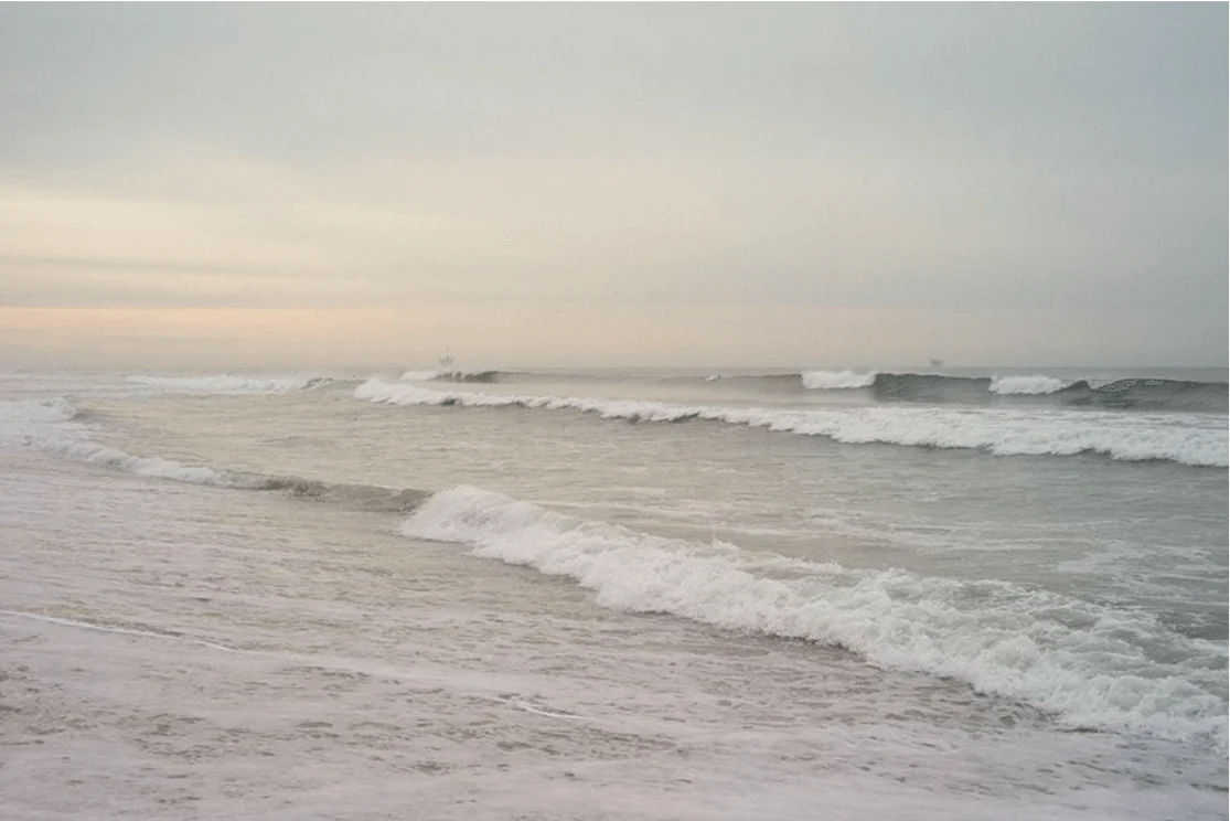 Bolsa Chica - Image 3
