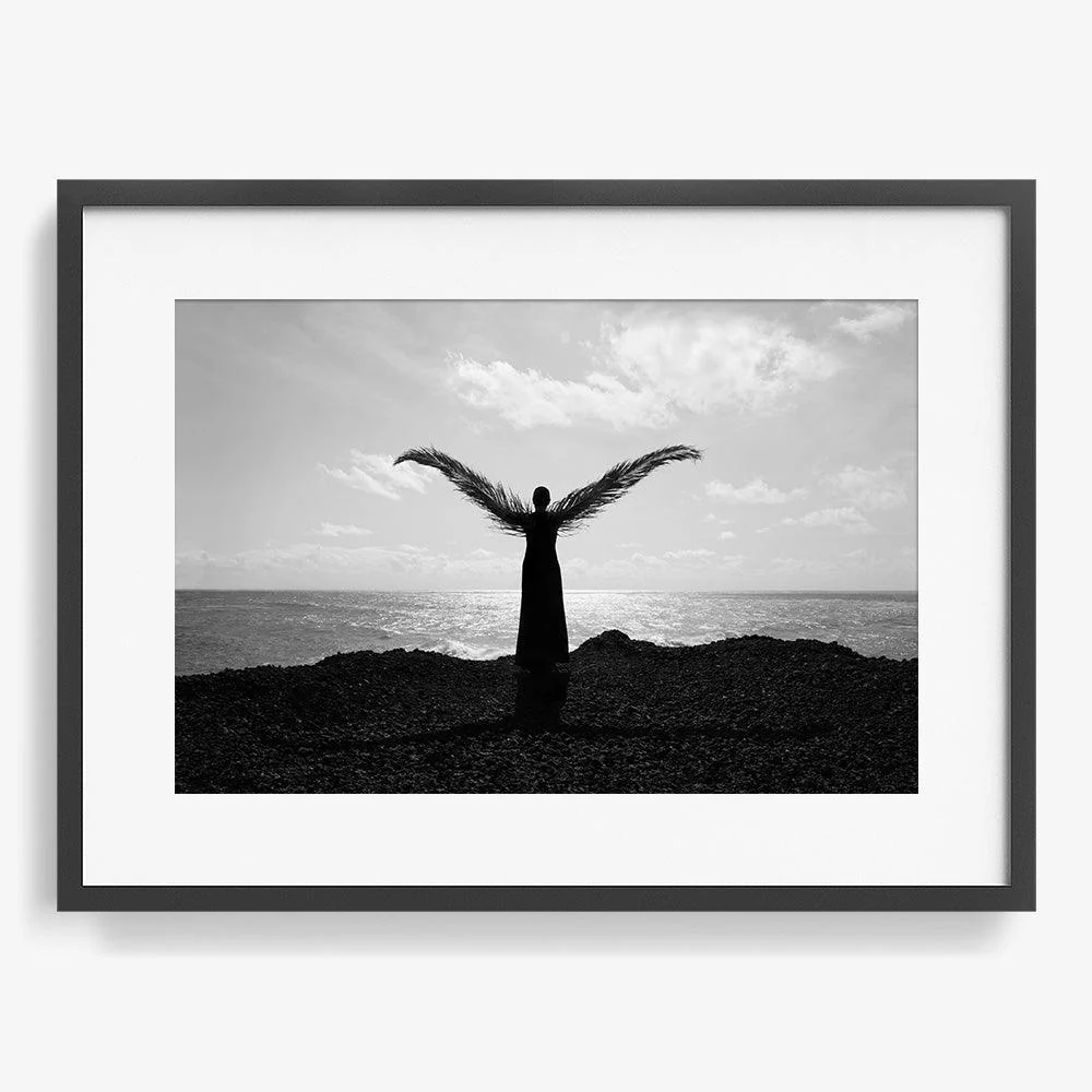 Palm wings - Image 10