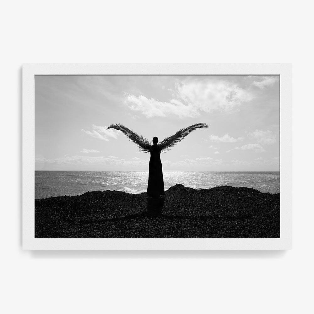 Palm wings - Image 9