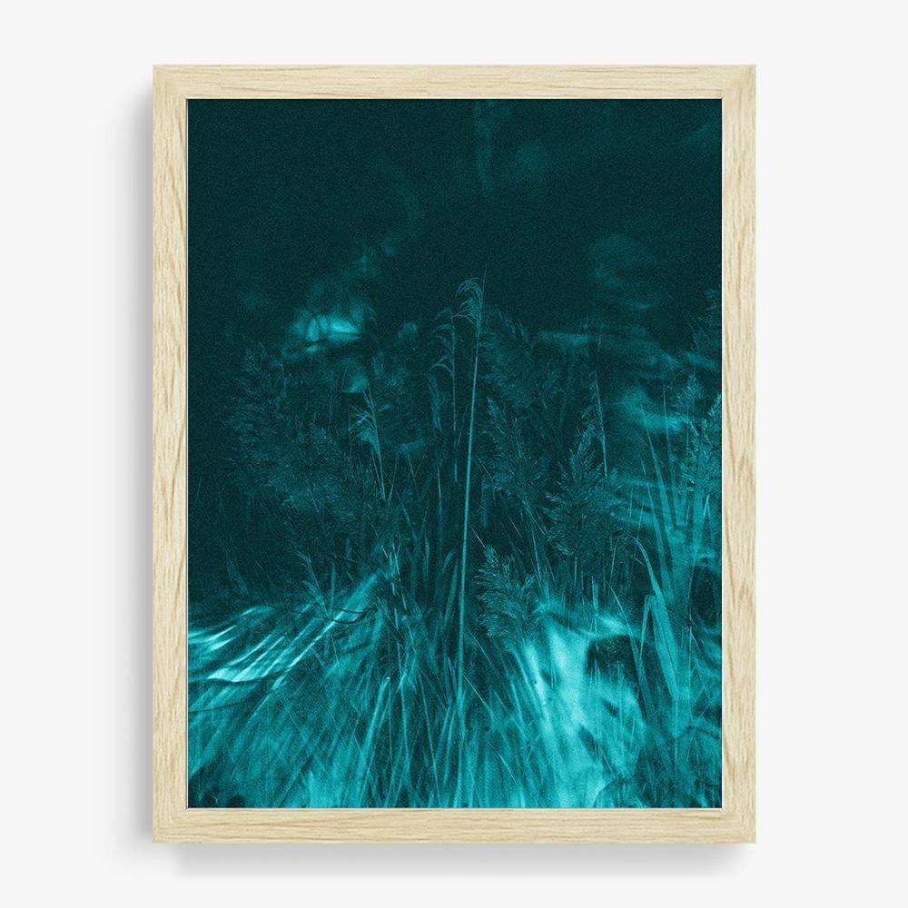 Photosynthesis - Image 10