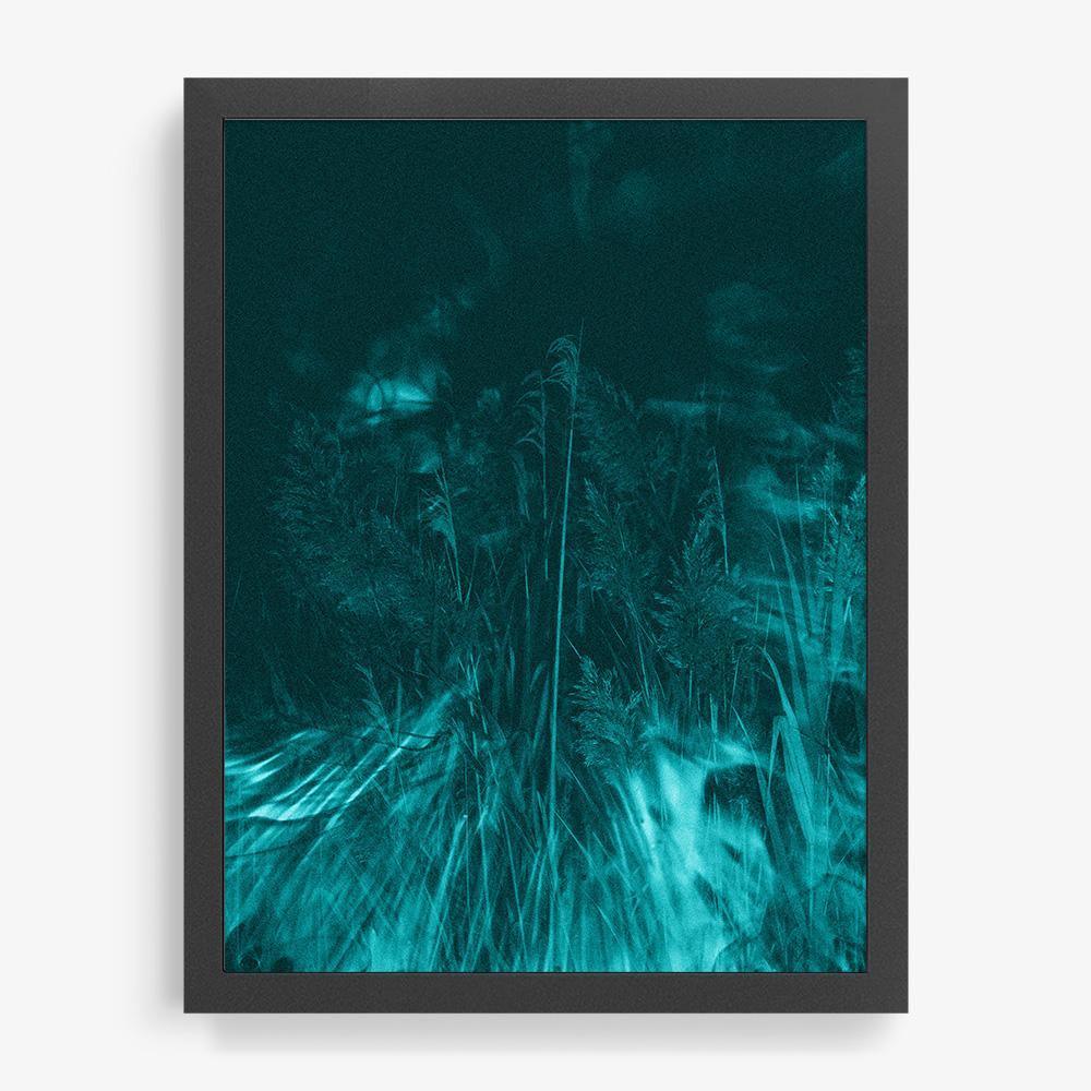 Photosynthesis - Image 13