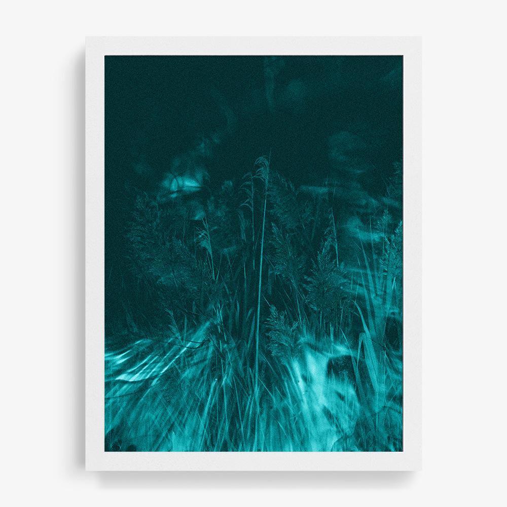 Photosynthesis - Image 15