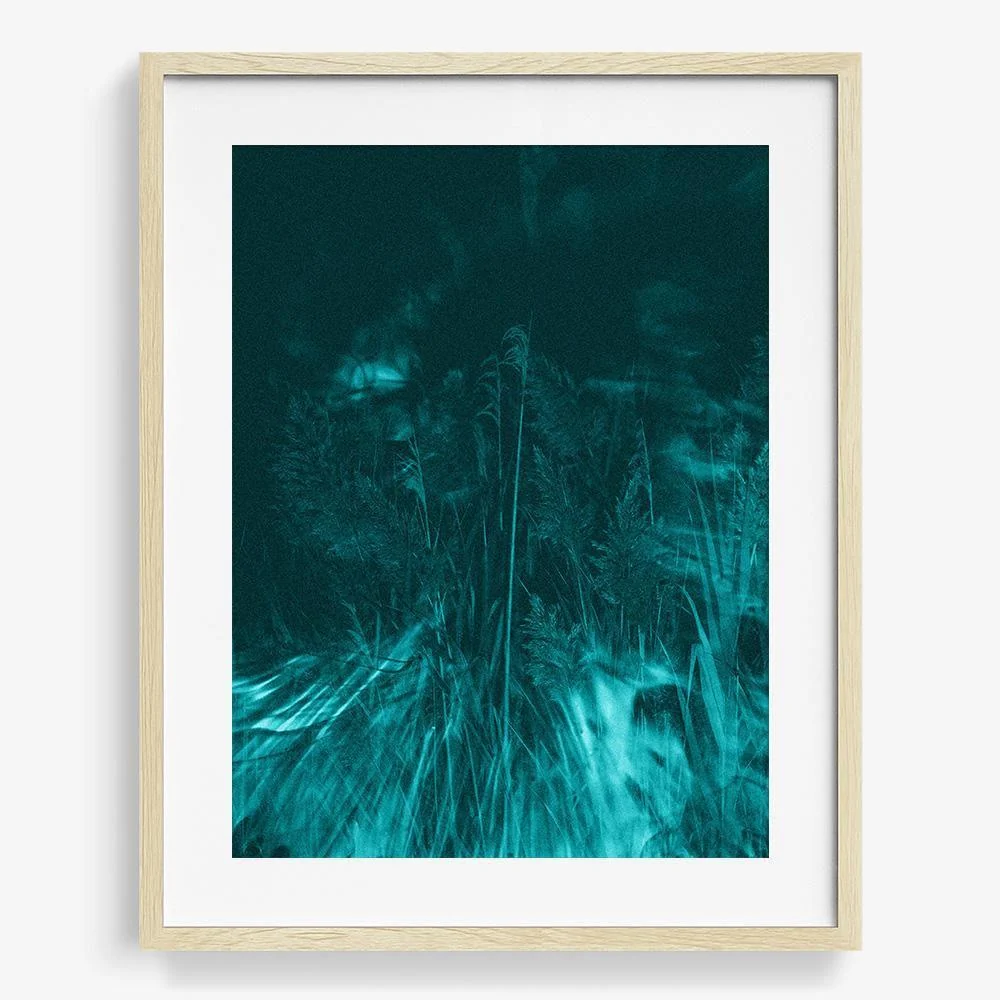 Photosynthesis - Image 22