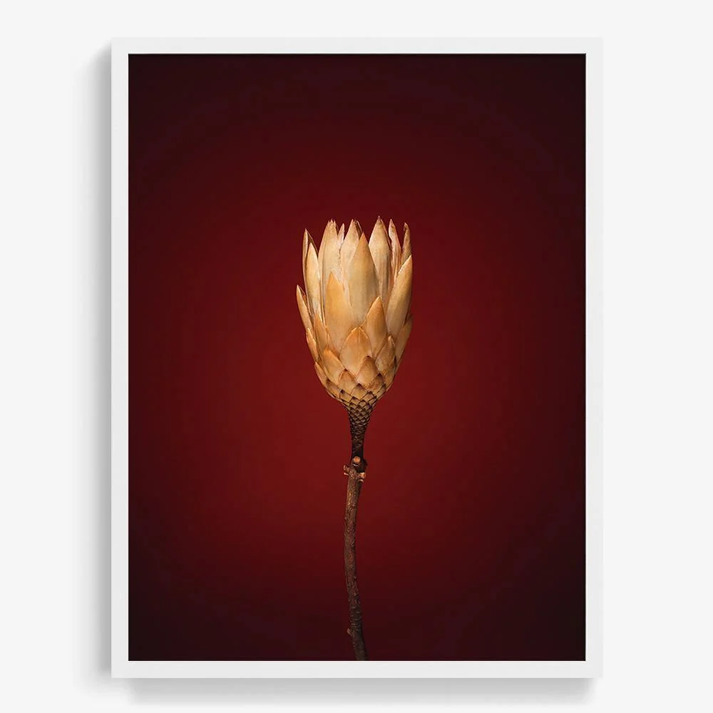 Plants from Space 03 - Image 4