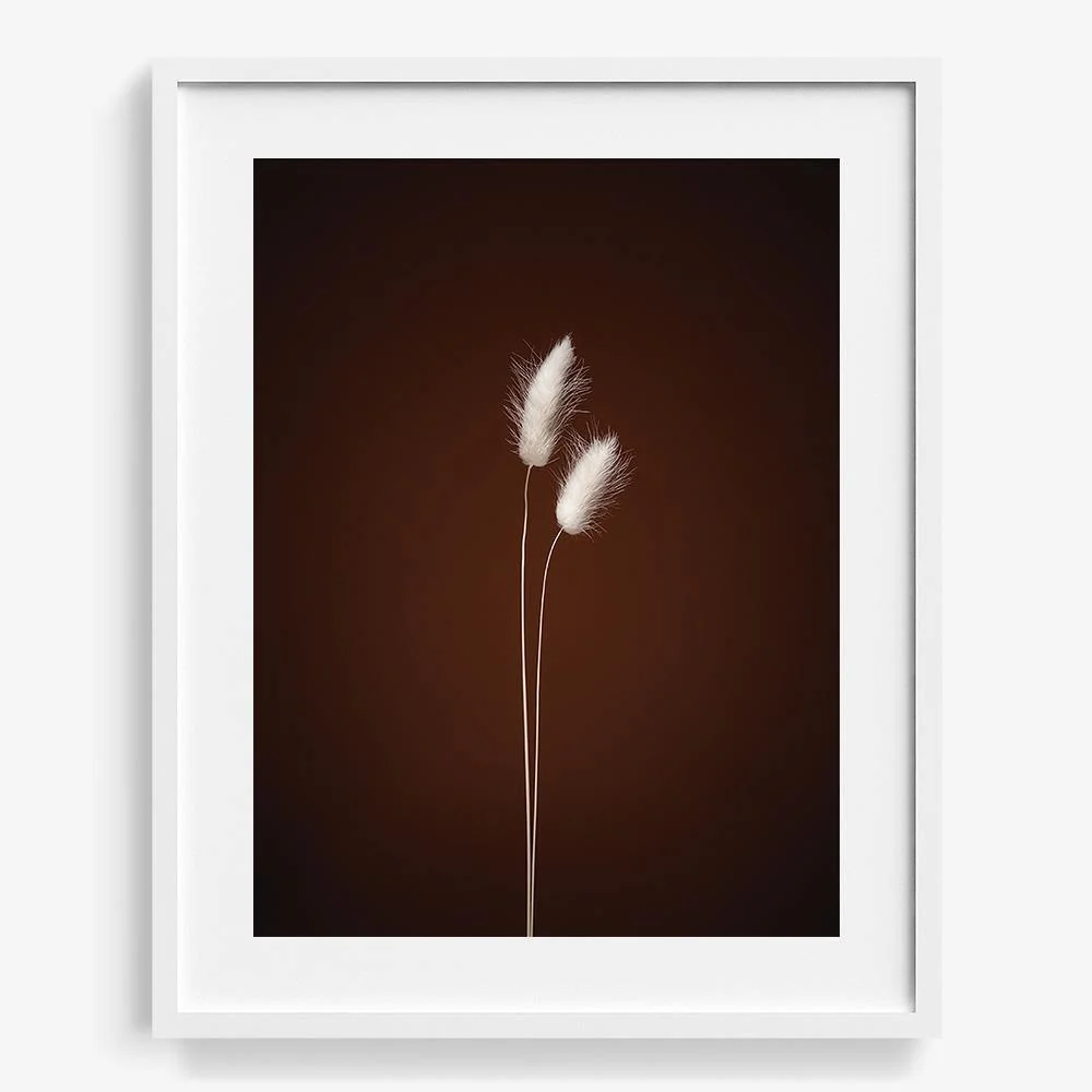 Plants from Space 05
