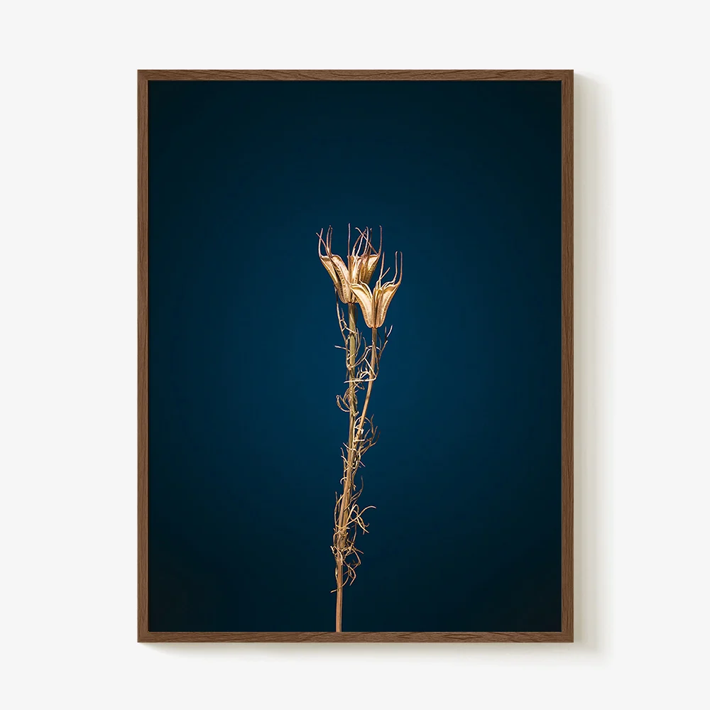 Plants from Space 09 - Image 8