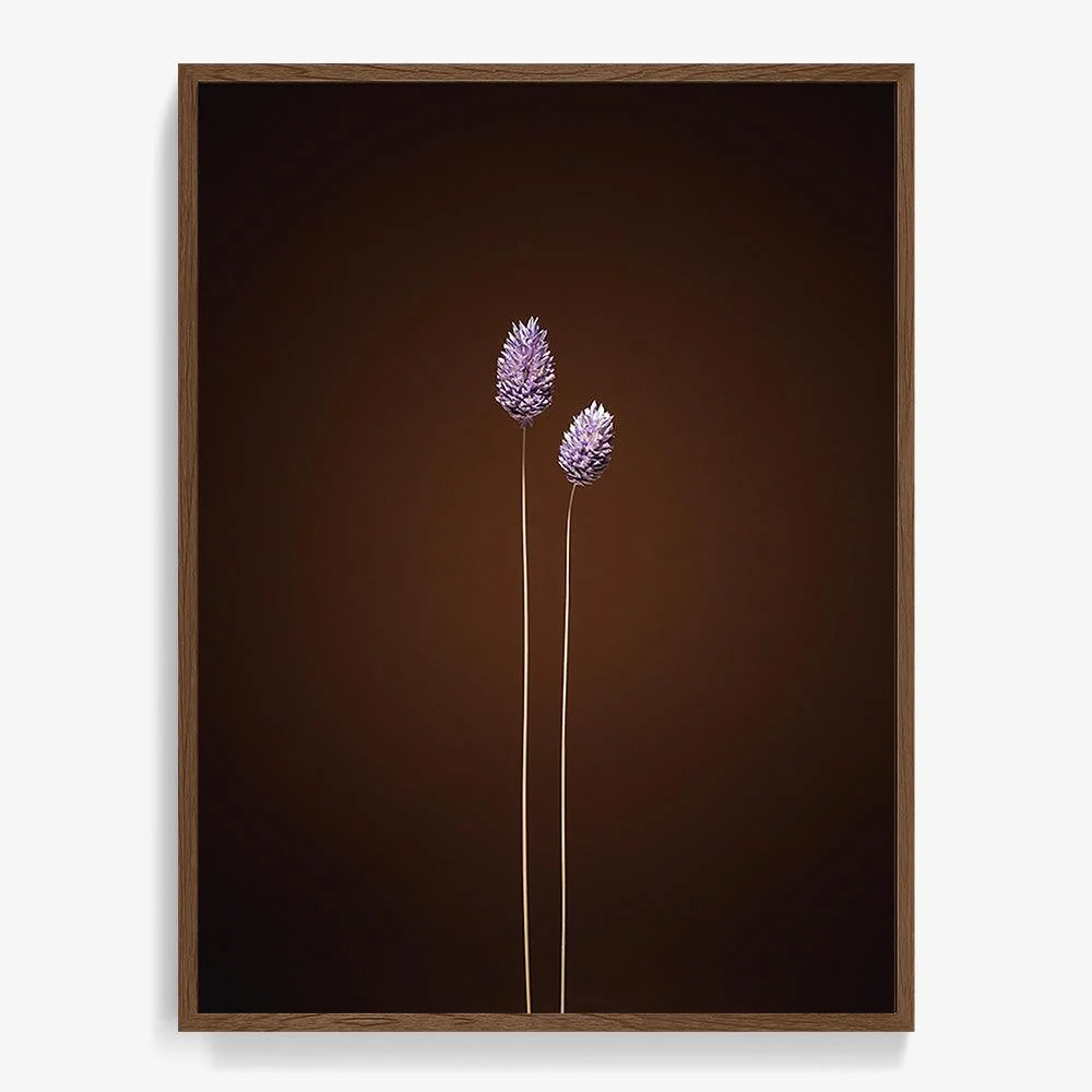 Plants from Space 10 - Image 8