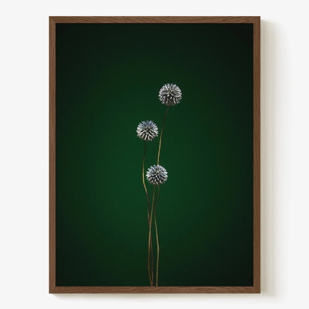 Plants from Space 12 - Image 18