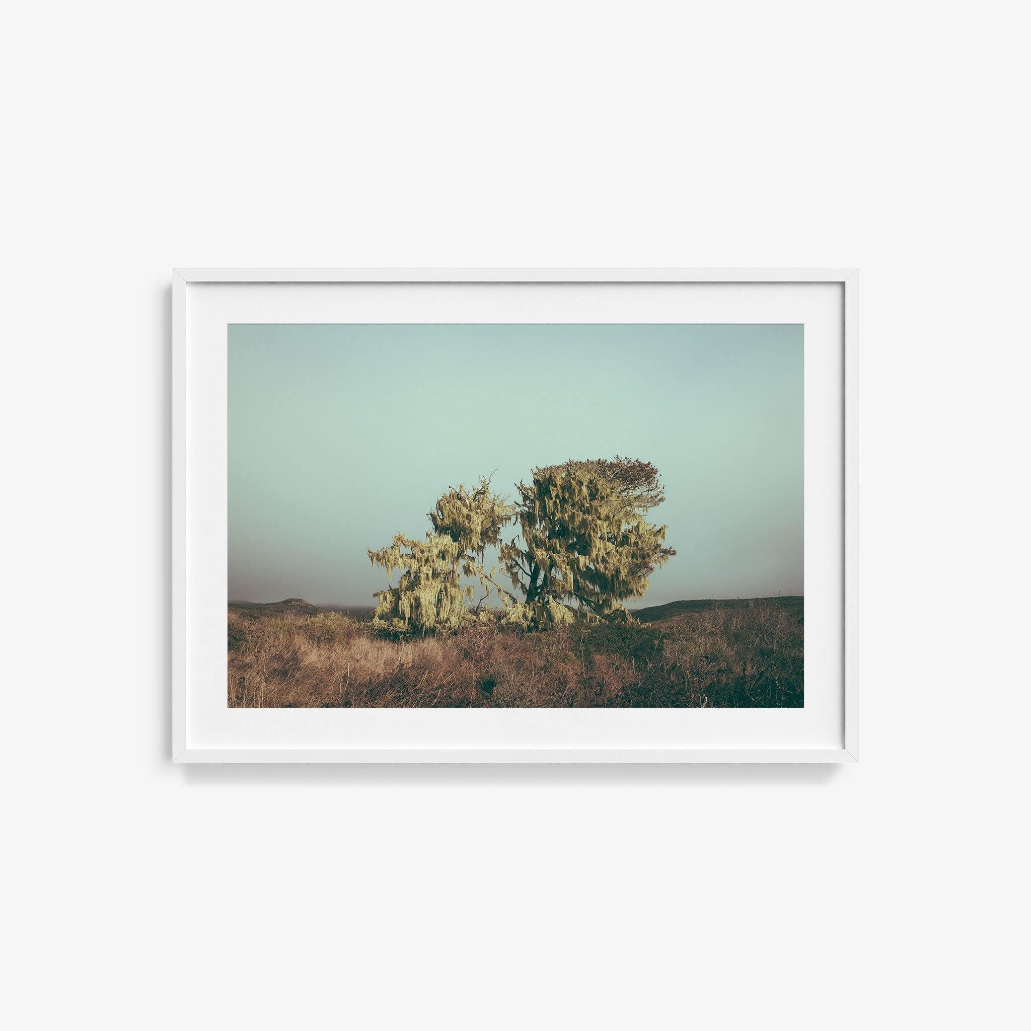 Point Reyes - Image 10