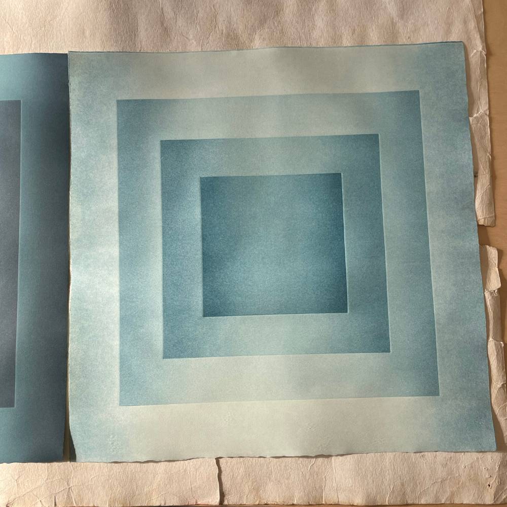 Prism Study (BLU-5-GH, R) - Image 4