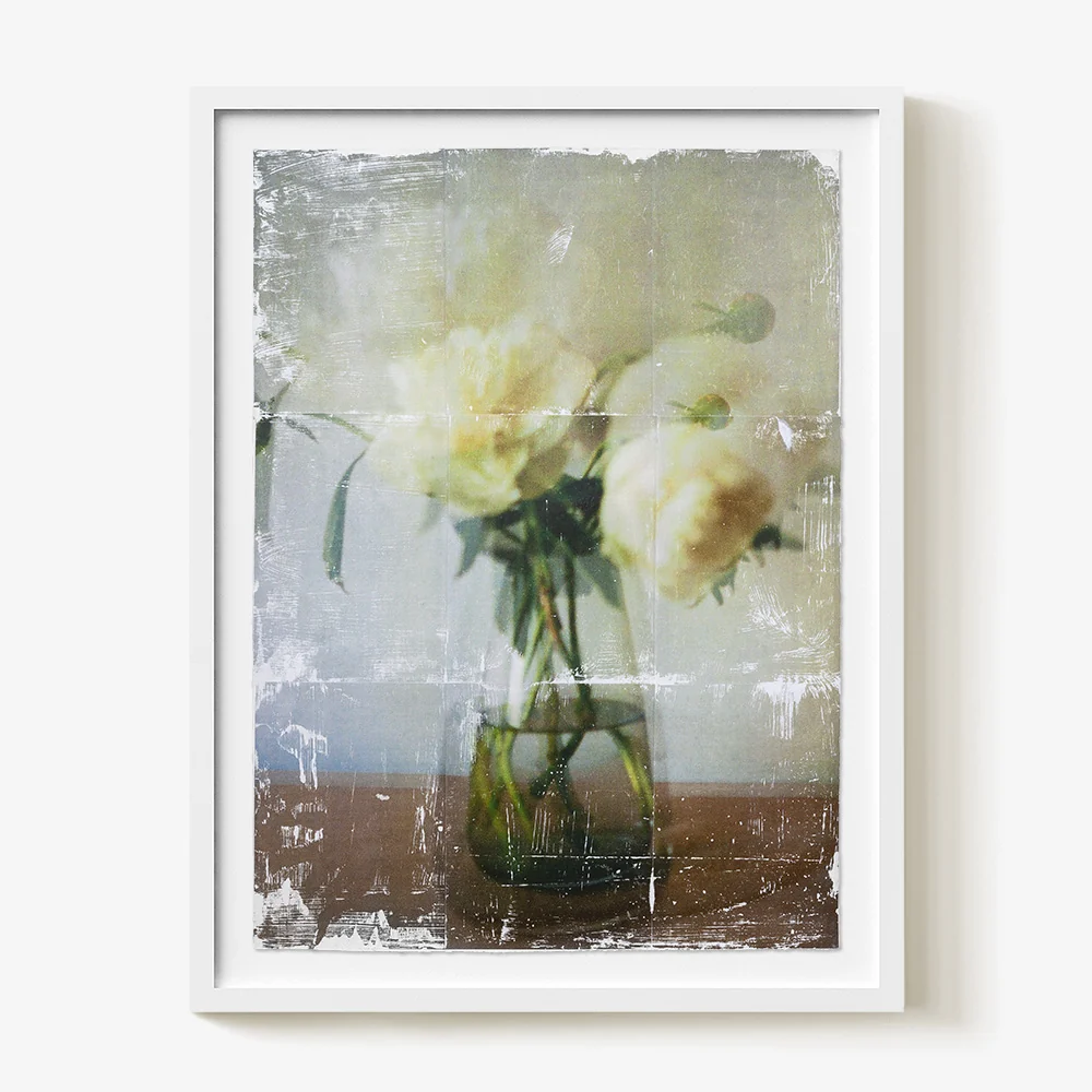 Ranunculus _ Study. 01