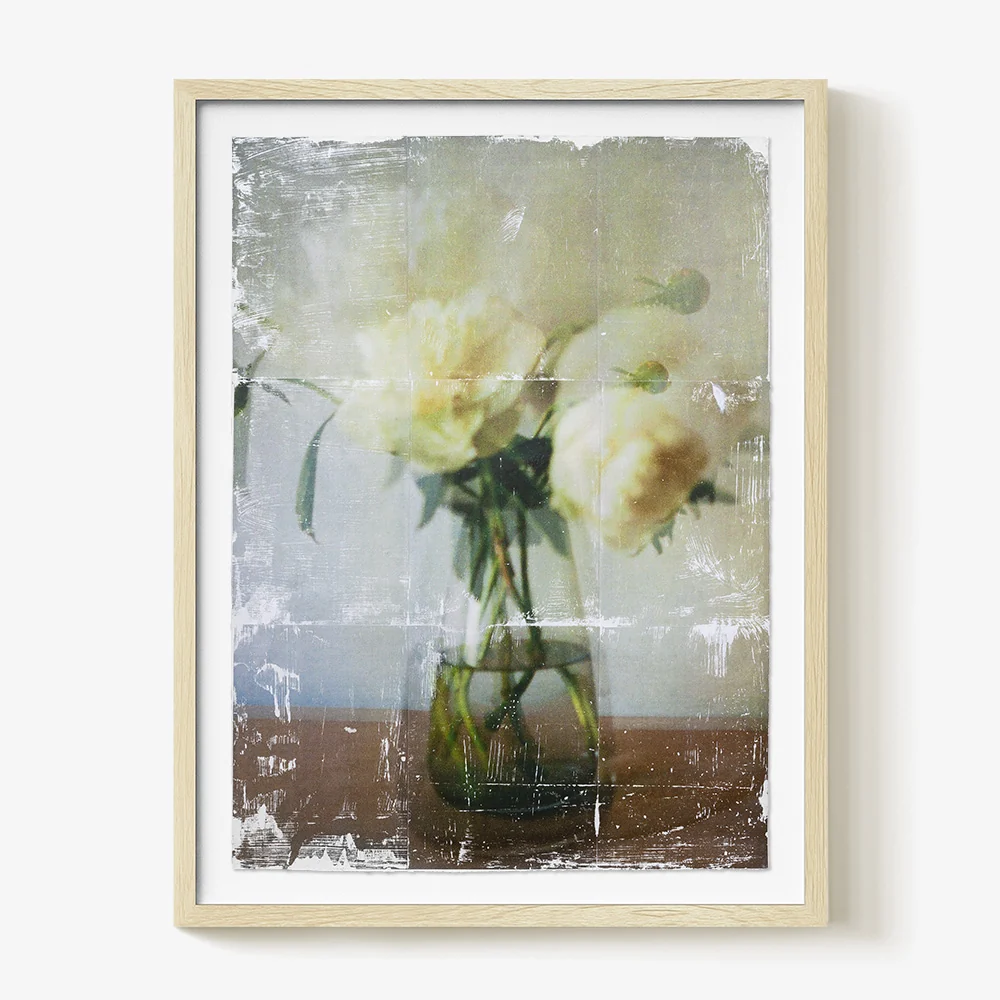 Ranunculus _ Study. 01 - Image 4