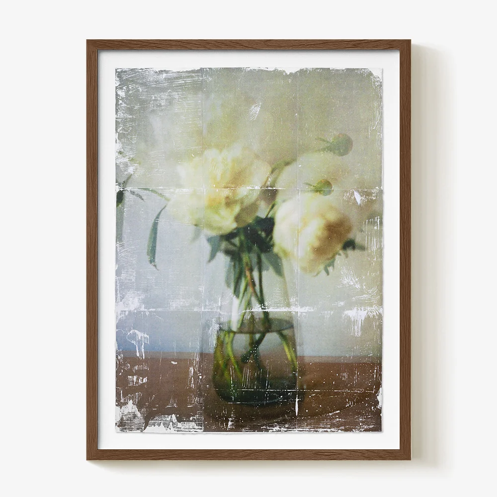 Ranunculus _ Study. 01 - Image 5